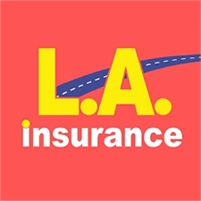 LA Insurance Agency in Saginaw Flint LA Insurance Agency in Saginaw Flint